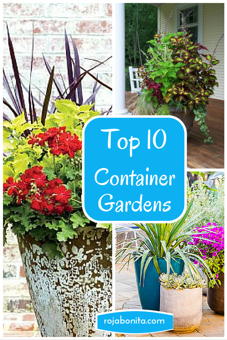 Top 10 Container Gardens for Your Summer Patio