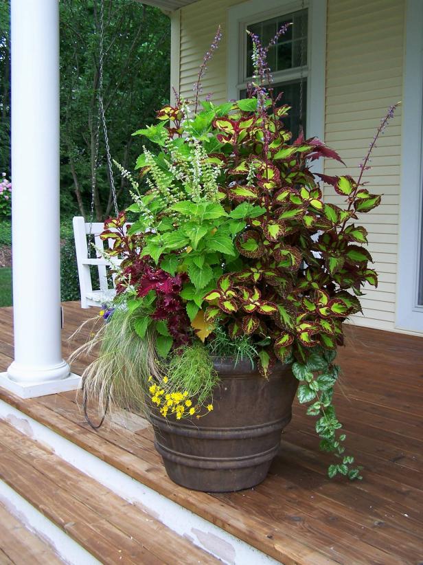 10 Container Gardening Ideas | Free Spirit Patio Planter