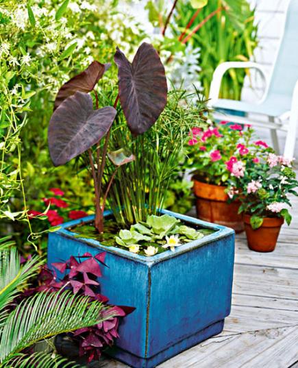 10 Container Gardening Ideas | Water Garden